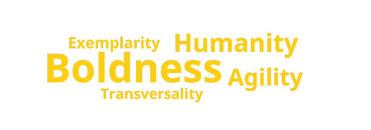 ANKA Values - Exemplarity, Humanity, Boldness, Agility, Transversality